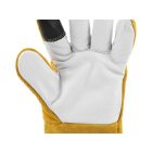 FLO 74143 Kertész Kesztyű, Rózsa Metszéséhez, 8Col